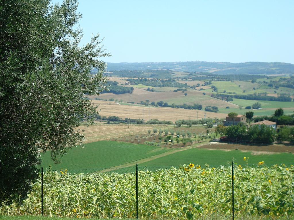 Podere Fontegallo Castiglione del Lago Ngoại thất bức ảnh