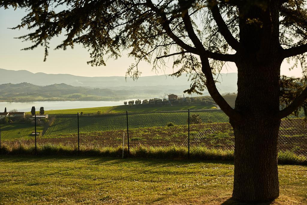 Podere Fontegallo Castiglione del Lago Ngoại thất bức ảnh
