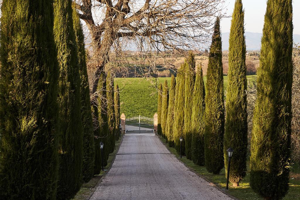 Podere Fontegallo Castiglione del Lago Ngoại thất bức ảnh