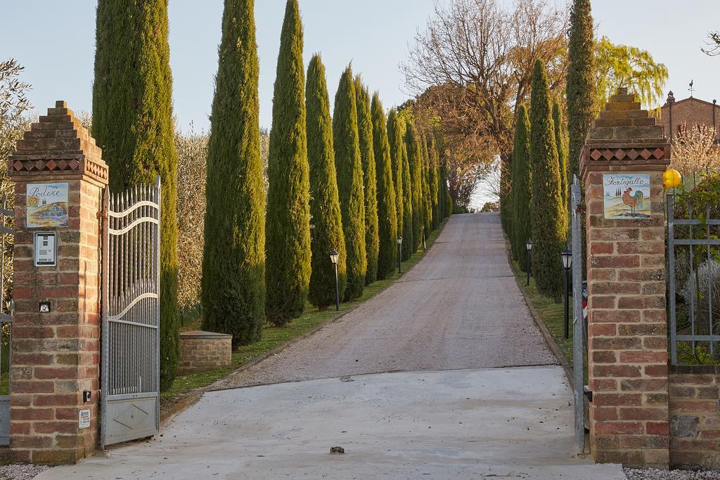 Podere Fontegallo Castiglione del Lago Ngoại thất bức ảnh