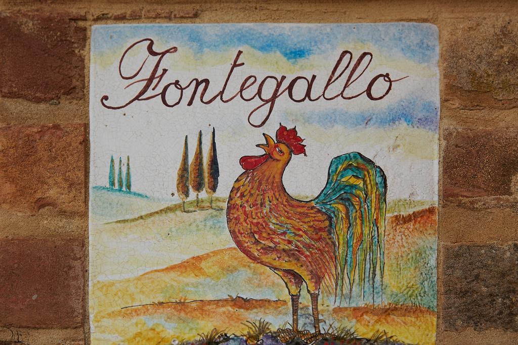 Podere Fontegallo Castiglione del Lago Ngoại thất bức ảnh