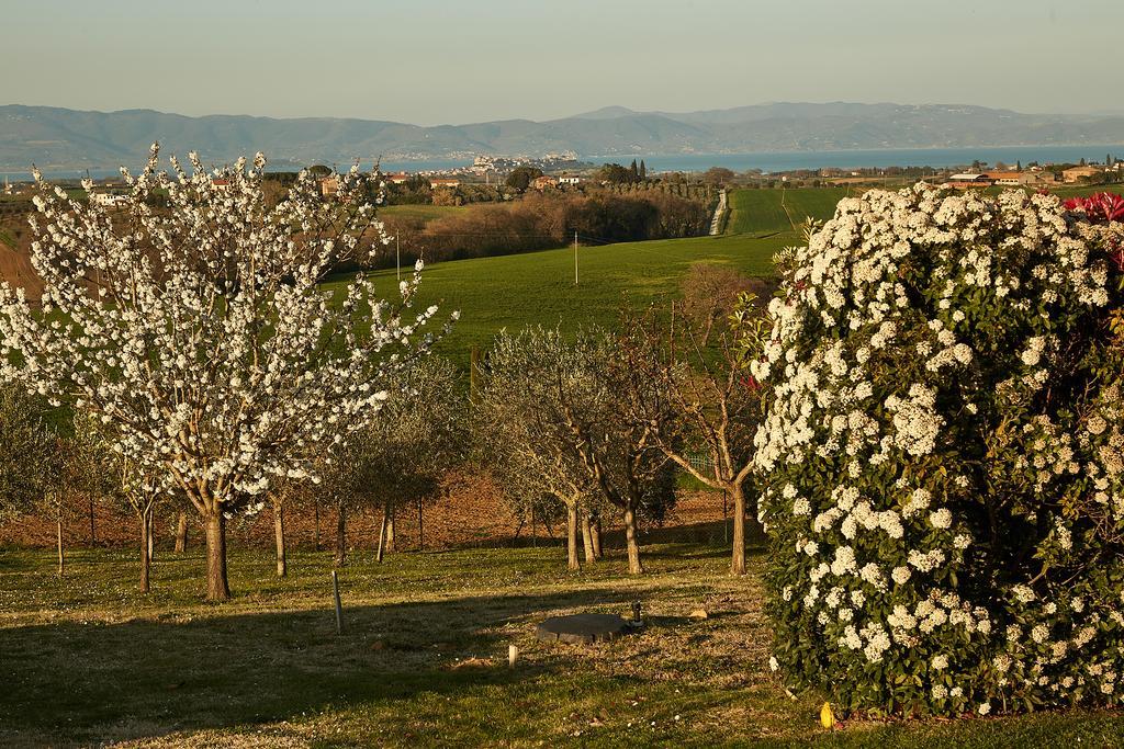 Podere Fontegallo Castiglione del Lago Ngoại thất bức ảnh