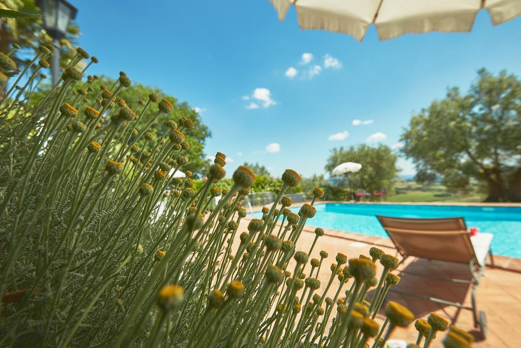 Podere Fontegallo Castiglione del Lago Ngoại thất bức ảnh