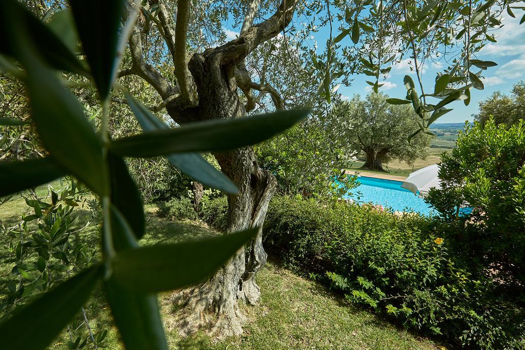 Podere Fontegallo Castiglione del Lago Ngoại thất bức ảnh