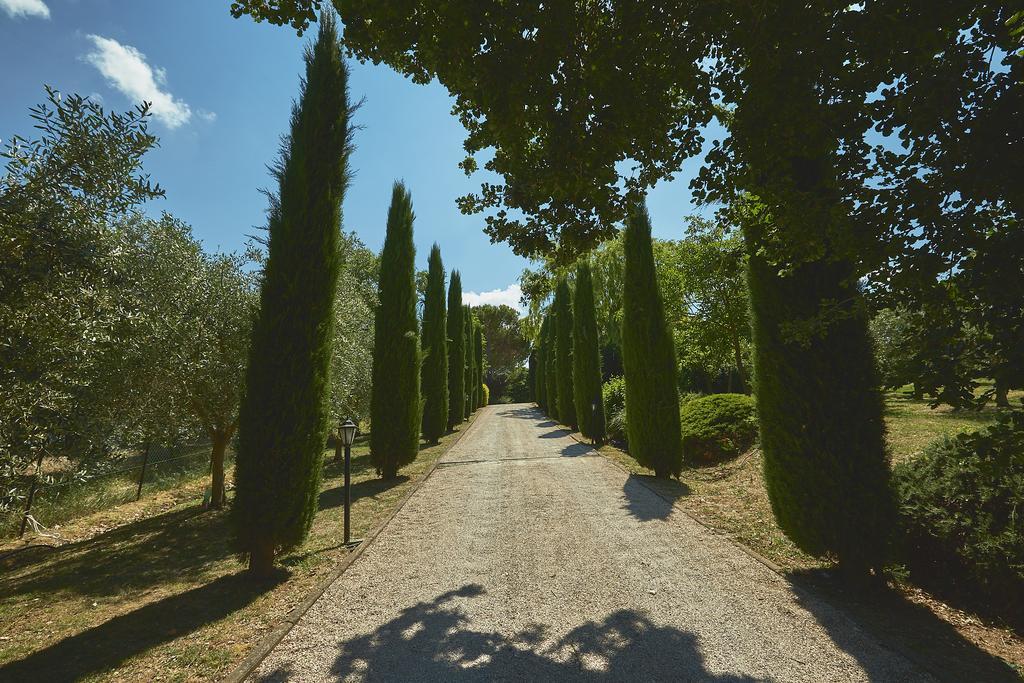 Podere Fontegallo Castiglione del Lago Ngoại thất bức ảnh
